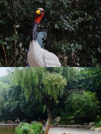 在四川成都，感受人民公園的悠閒生活氛圍
