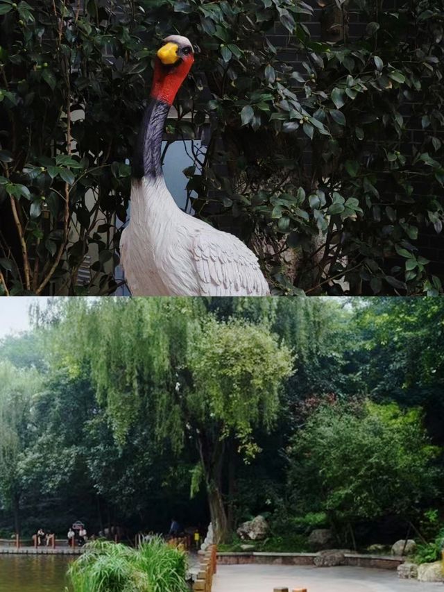 在四川成都，感受人民公園的悠閒生活氛圍