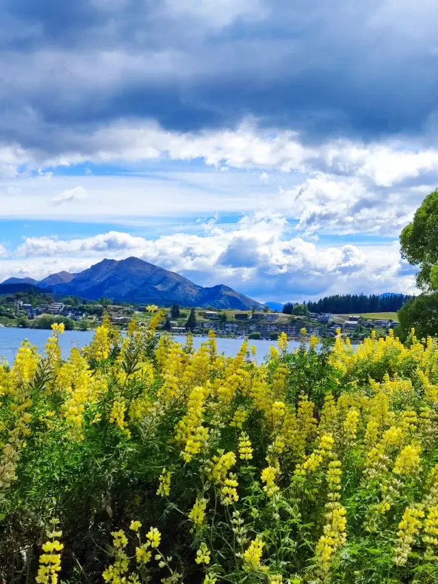 12 Days in New Zealand: A Pure Winter Journey