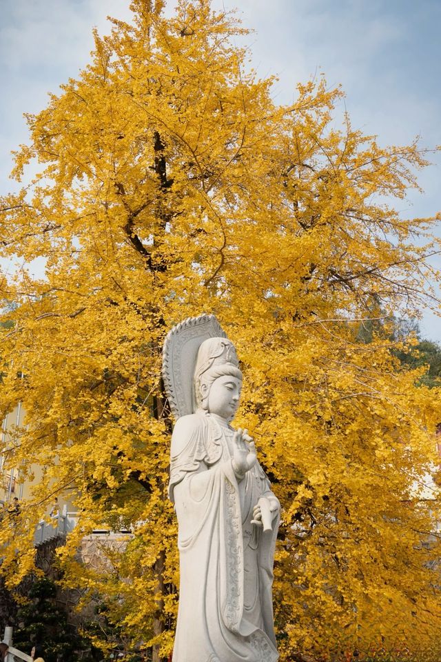 湖南衡陽彌陀古寺遊玩攻略