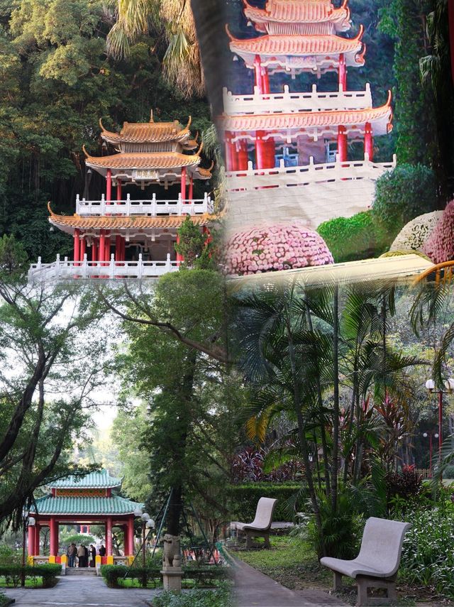 尋味中山，一日遊最新美食攻略~