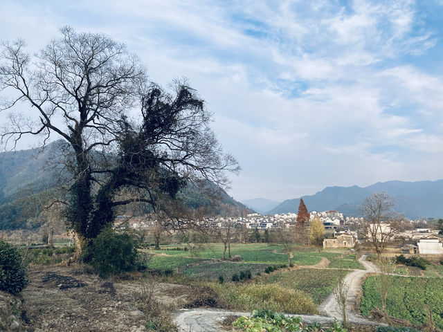 盧村遊之盧村觀景平台