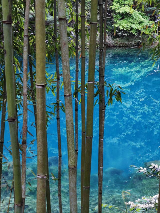 黔東南-安順-黔南8日遊 超詳細攻略來襲熬夜整理必看 黔東南-安順-黔南8日遊 超詳細攻略來襲熬夜整理必看