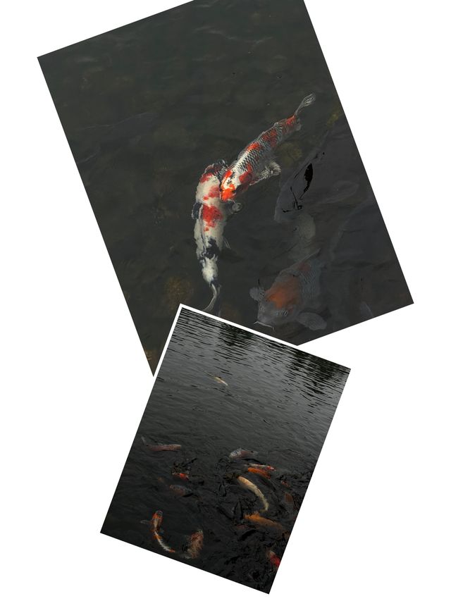 【名古屋必去！德川園，一步一景的古典美】