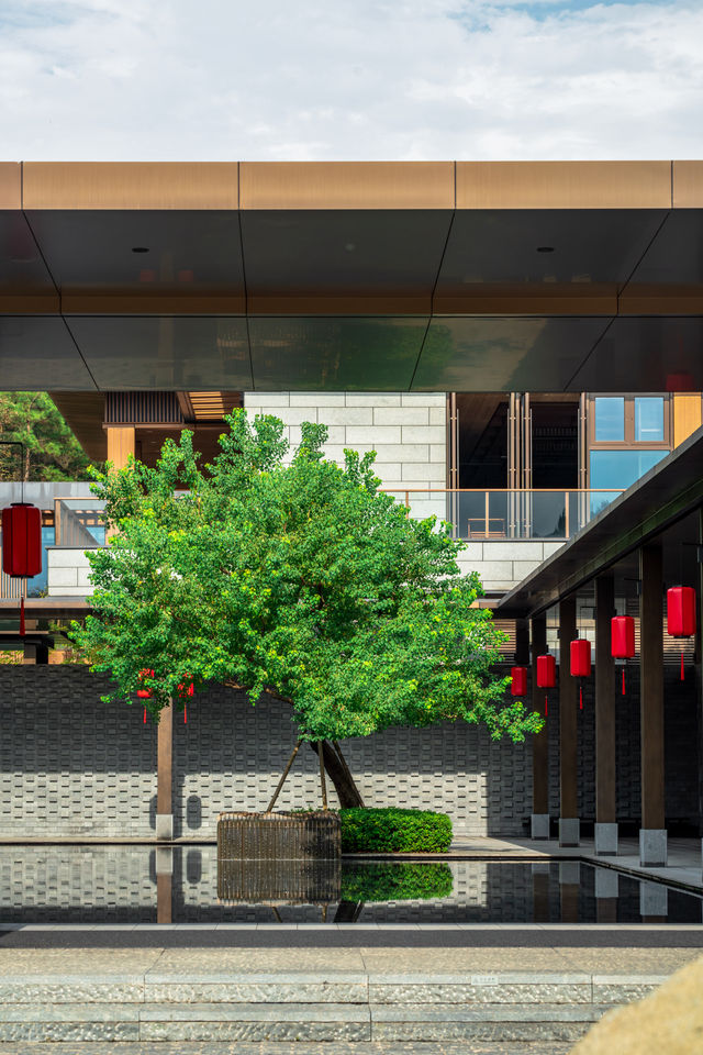 安吉｜冬遊記，在竹海茶田深處度個假