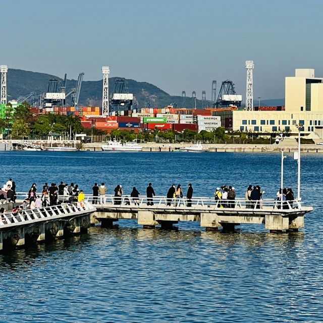 我來深圳海景公園啦！