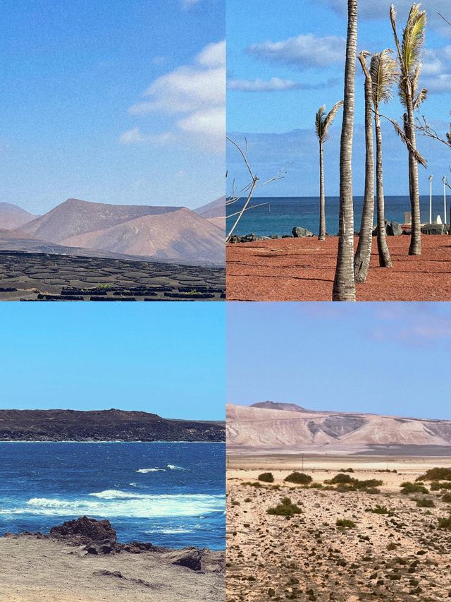 蘭薩羅特島：大西洋上的奇幻桃源