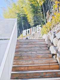 小城小住｜躲進安吉白色烏托邦，享山野詩意時光
