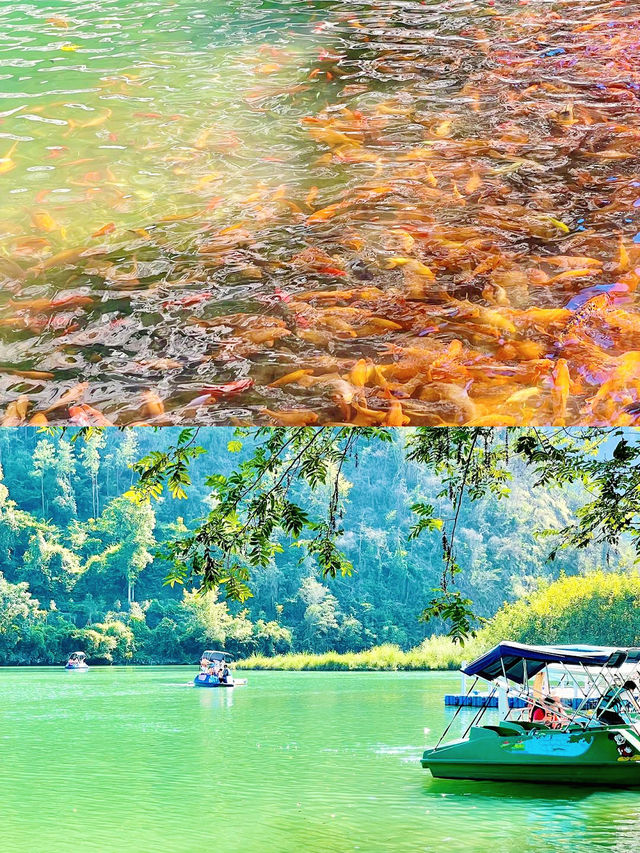 一個嚴重被低估的寶藏地楠溪江