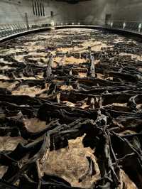 2日白山遊 玩轉美景不踩雷