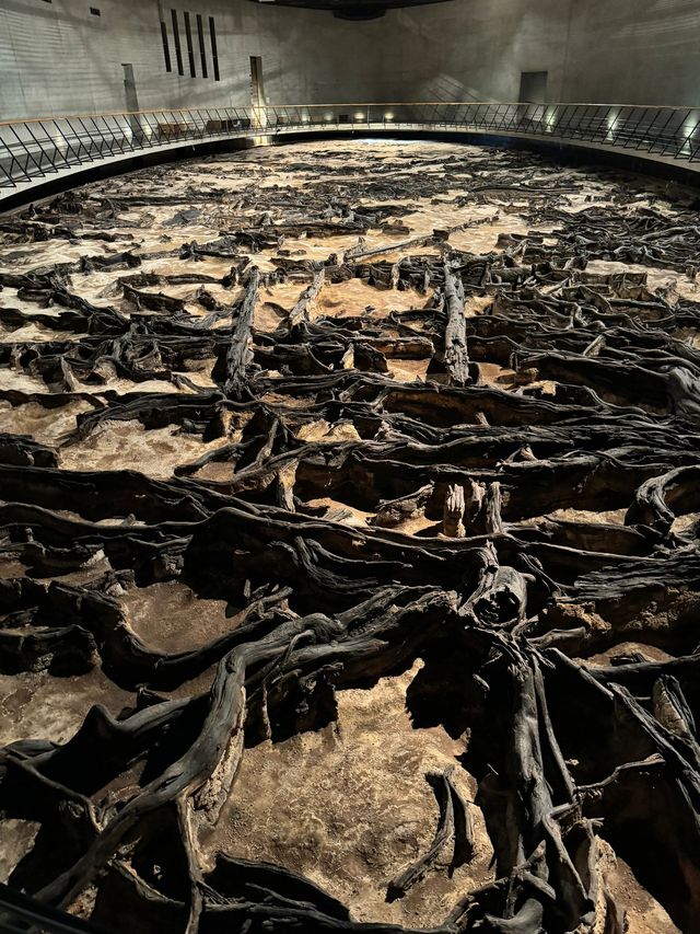 2日白山遊 玩轉美景不踩雷 2日白山遊 玩轉美景不踩雷