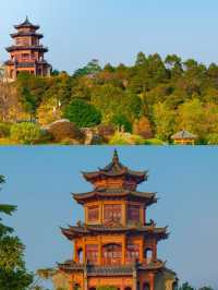 探秘廣西欽州園博園，感受園林之美