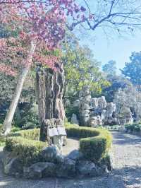 上海這個公園也太好逛了-桂林公園記