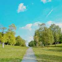 "我在桂溪生態公園待了20分鐘，居然發生了這種變化！"