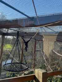 Visit London Zoo in Winter for a Unique Experience