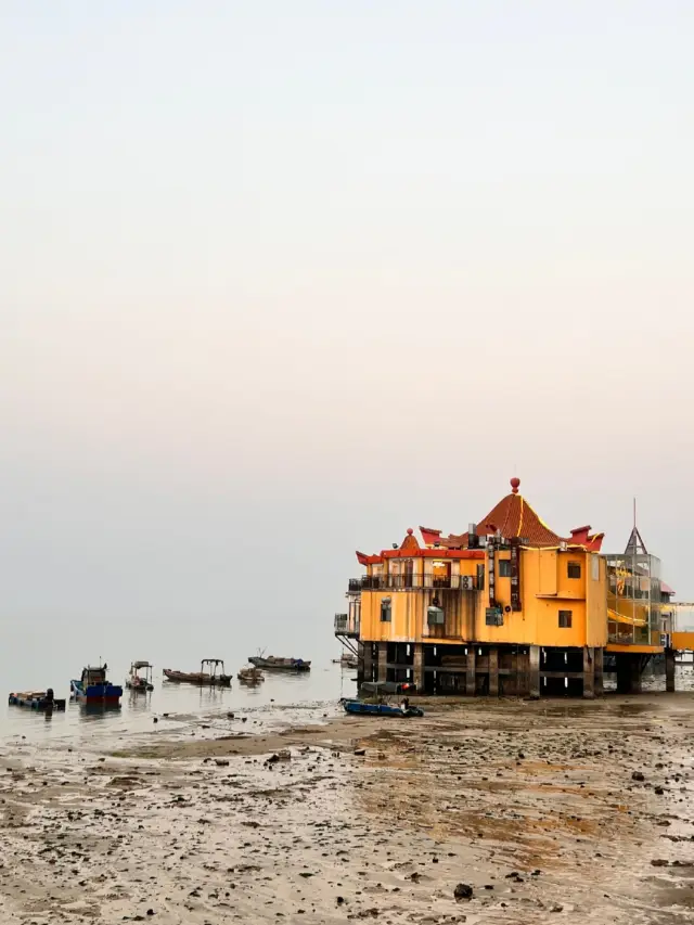 Weizhou Island, February 2025, a tragic scene