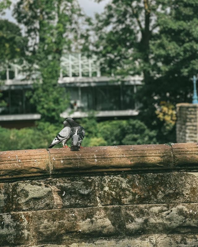 誤入英式油畫，邂逅綠地公園的慢時光