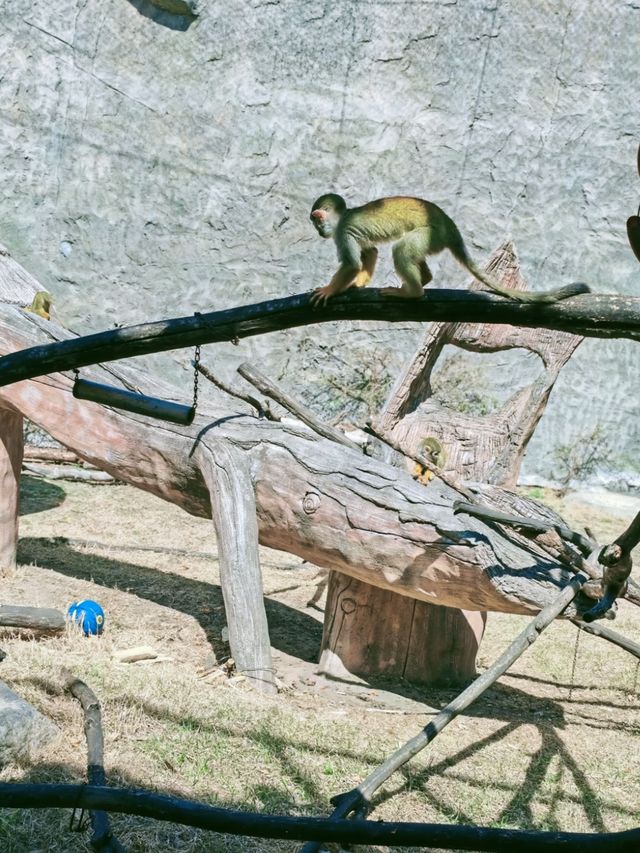 龍沙動植物園：動植物們的可愛小天地