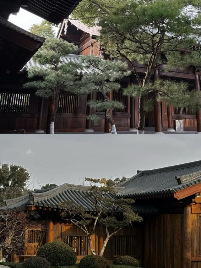 上海小眾寺廟｜避開人潮的靜謐治癒角落！
