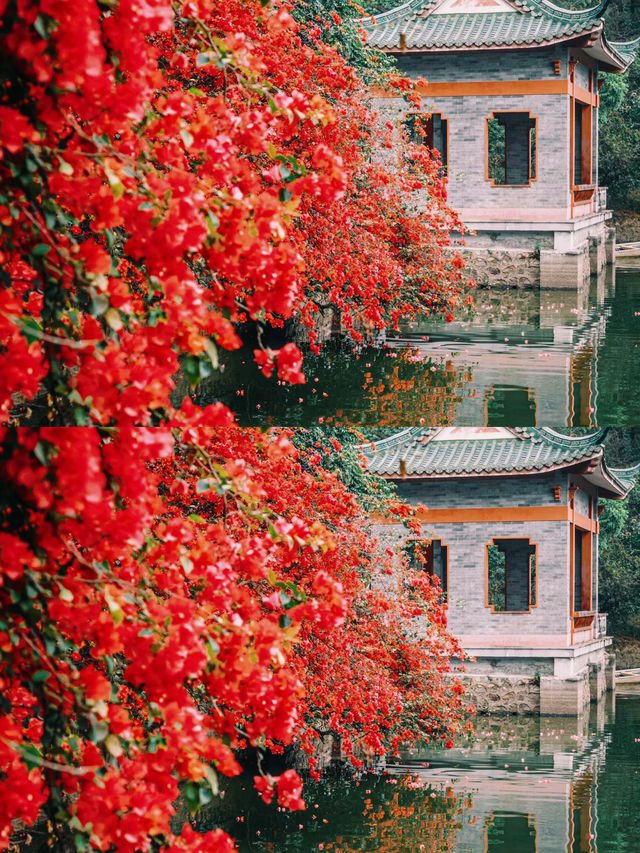 春遊記|東莞的古典公園，鏡頭下的春和景明