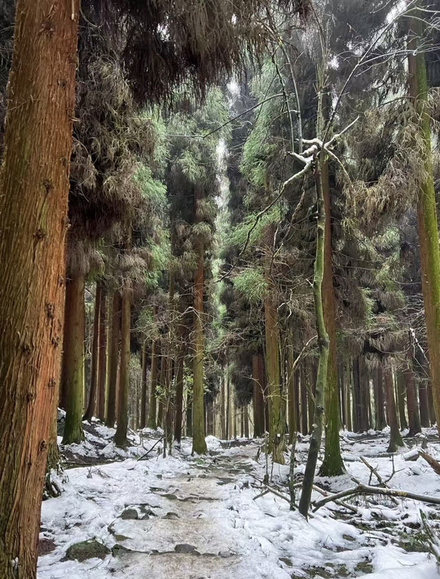 四川神瀑溝景區