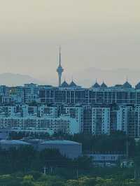 北京新晉最美觀景台｜南苑濕地森林公園飛雁台