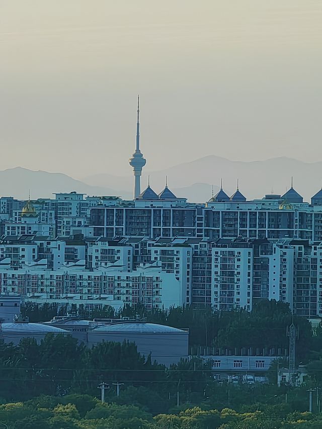 北京新晉最美觀景台｜南苑濕地森林公園飛雁台