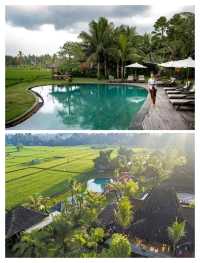 巴厘島寶藏酒店|Arya Villas Ubud