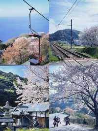 探秘福井：日本小眾旅行的寶藏之地
