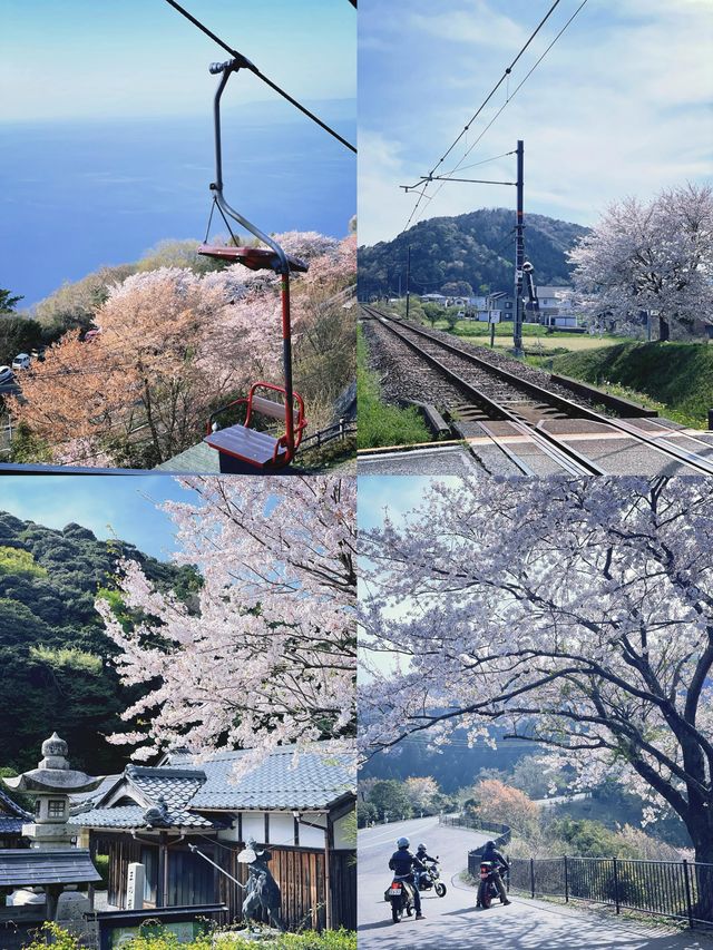 探秘福井：日本小眾旅行的寶藏之地