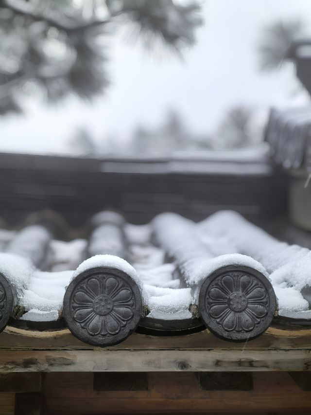 徑山寺觀雪