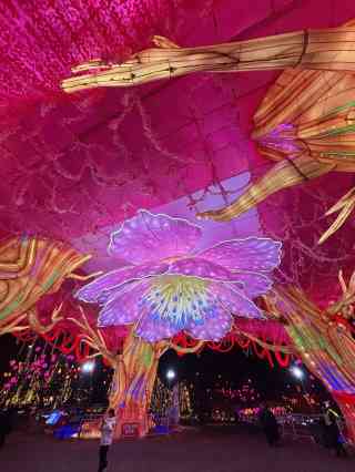 ccp 蓄光祭り05 バラン 2025年5月23日(金)〜25日(日)の3日間「ハマフェスY166」開催に伴い