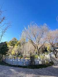 8日探索雲南昆明-大理市-麗江 森林氧吧之旅