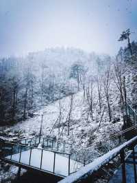一定要來一次天姥山感受古老佛教文化