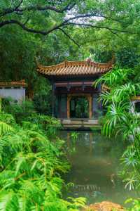 不輸蘇杭，陰雨天的廣州蘭圃美如畫～