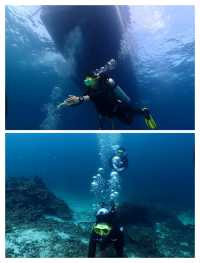 布吉島潛水全攻略！三天九潛，邂逅海洋奇遇。