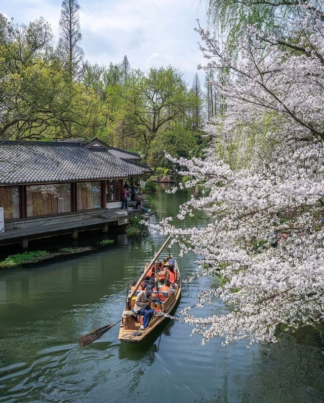 3月份嘅杭州就係萬次嘅春和景明