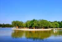 廊坊市自然公園：城市中的綠色寶藏