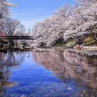 🌸京都小眾寶藏地 | 亀岡七谷川