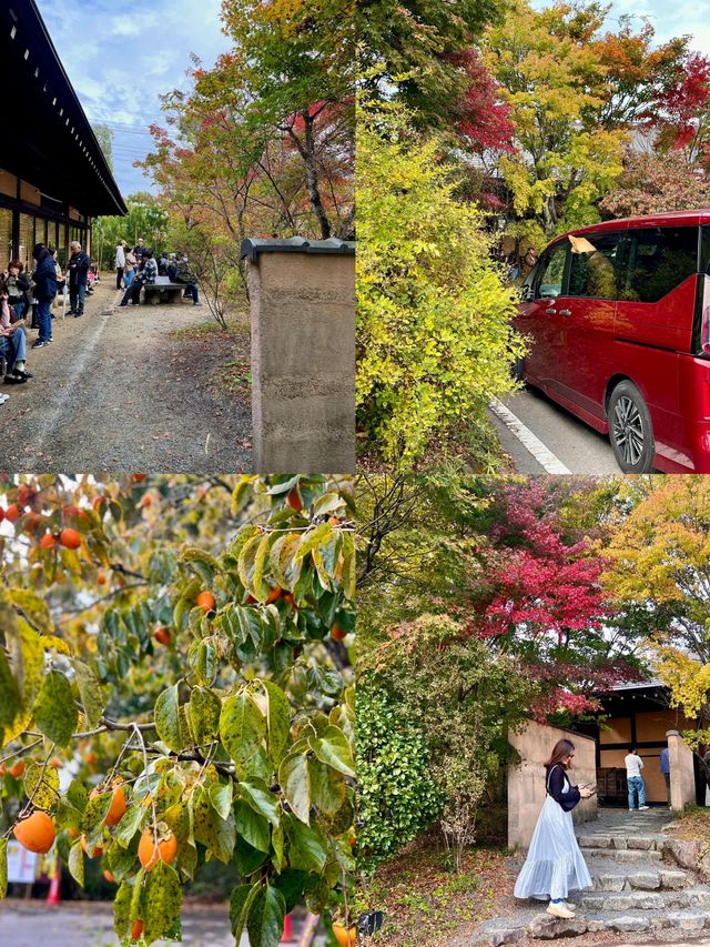 闖進那須鹽原，邂逅一場湯泉綺夢