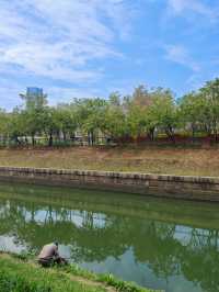 幫大家逛了深圳爆紅的公園，說點真心話