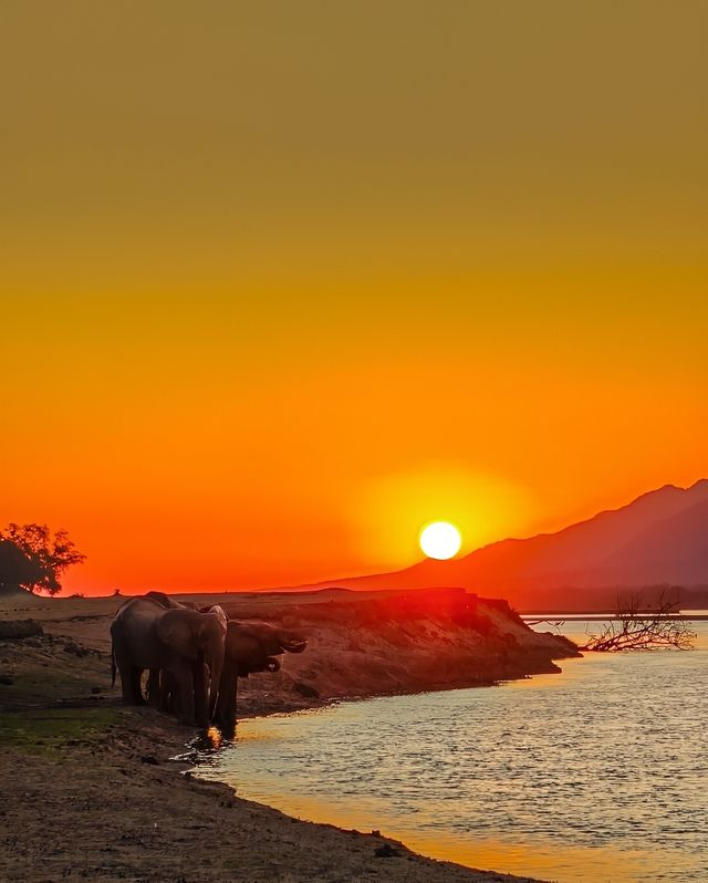 阿布加魯姆自然保護區（Abu Galum Nature Reserve）——紅海秘境探險之旅 
