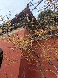 南京,一座沉澱著歷史的現代化都市