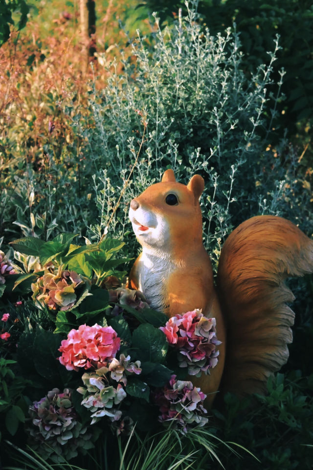 廈門植物園：綠野仙蹤，花語世界