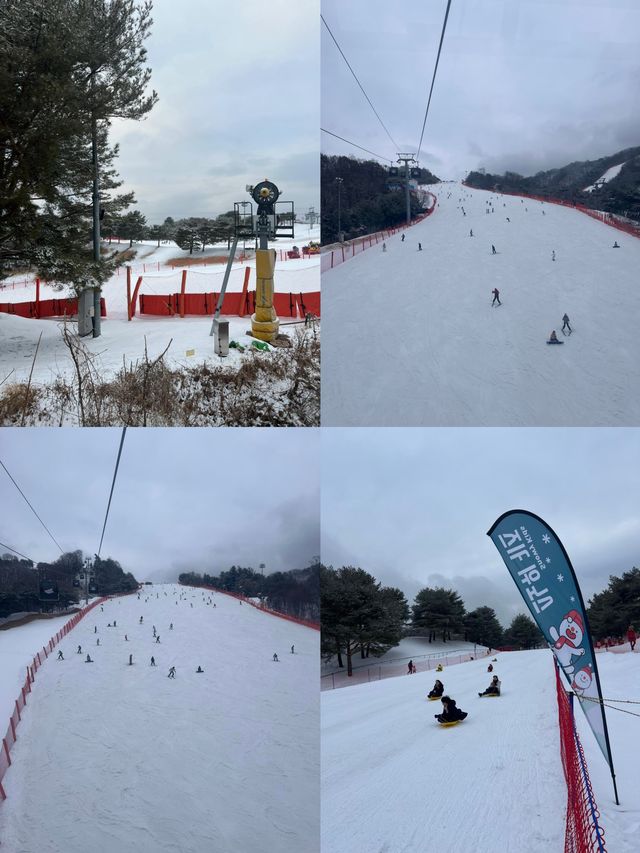 韓國洪川郡：小眾寶藏旅行地
