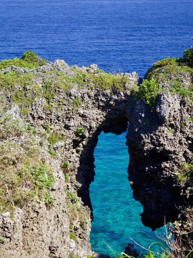A Super Comprehensive Guide to a 7-Day Trip to Japan—Click Here!