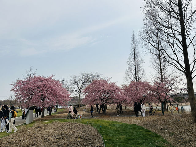 上海辰山植物園