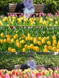 盤點上海十大美景鬱金香公園之｜閘北公園