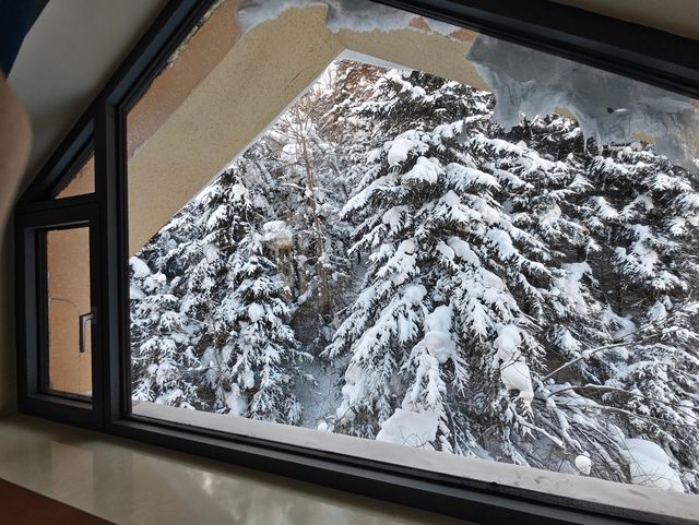 雪鄉！雪景房！為了這扇窗我能來無數次！