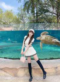 親測廣州海洋館真係好玩又好拍